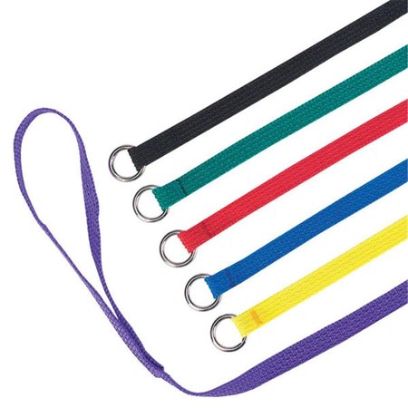 PAMPEREDPETS Kennel Leads 6 Ft 6-Pk Asst Colors PA2632583